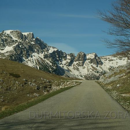 Durmitorska Zora Villa Žabljak Dış mekan fotoğraf