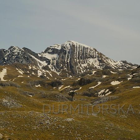 Durmitorska Zora Villa Žabljak Dış mekan fotoğraf