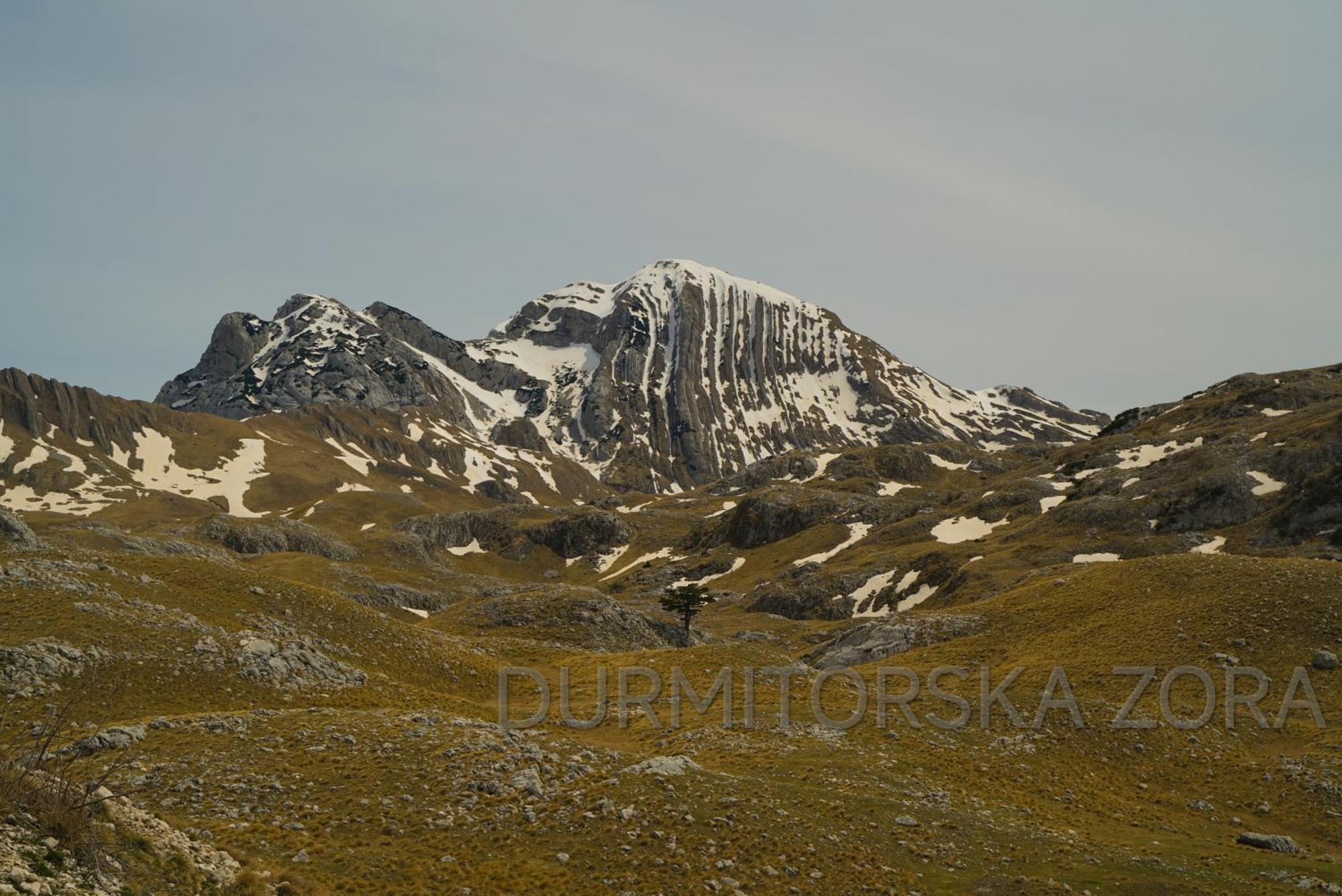 Durmitorska Zora Villa Žabljak Dış mekan fotoğraf